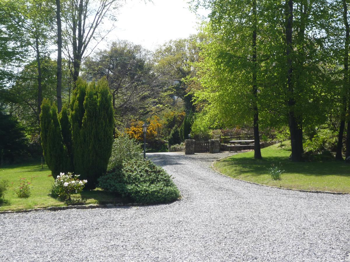 Pinewood Lodge Laragh Exteriör bild